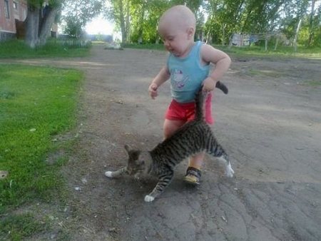 Котеньки люто-бешено рады прогулке на природе