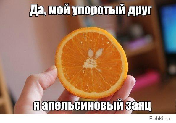 Веселые картинки
