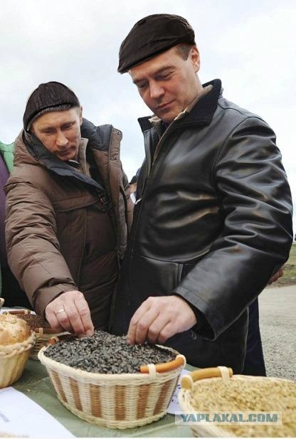 Урожай будет спасен!