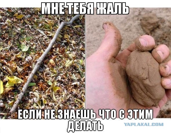 Детство без гаджетов...