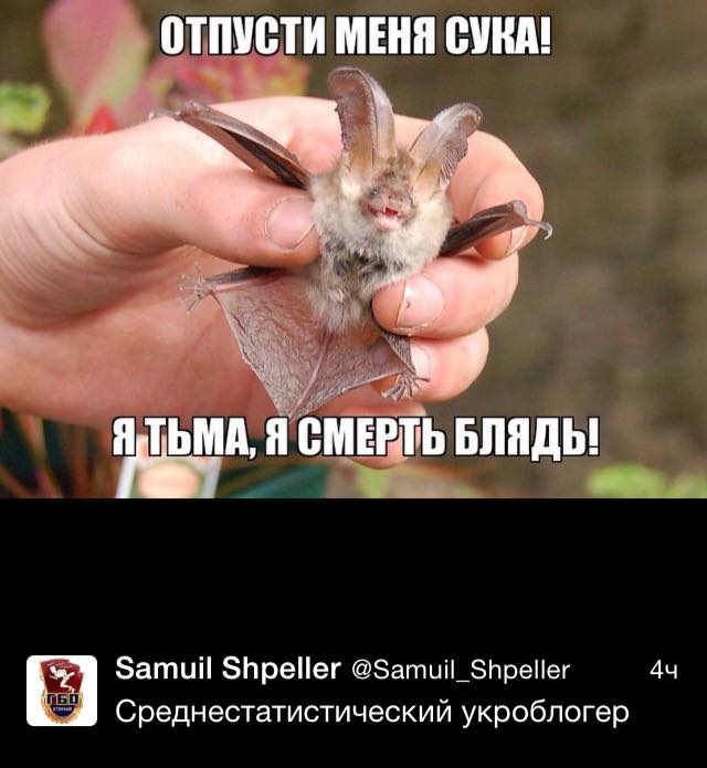 Картинки про политику