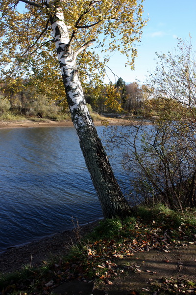 Золотая осень