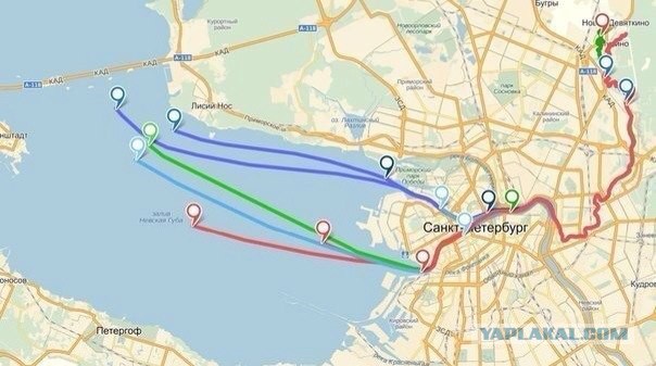 Рубрика "Бесполезные факты" представляет