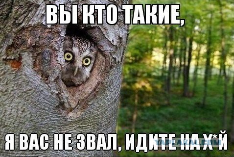 Предоставить гражданство Украины рос. оппозитам!