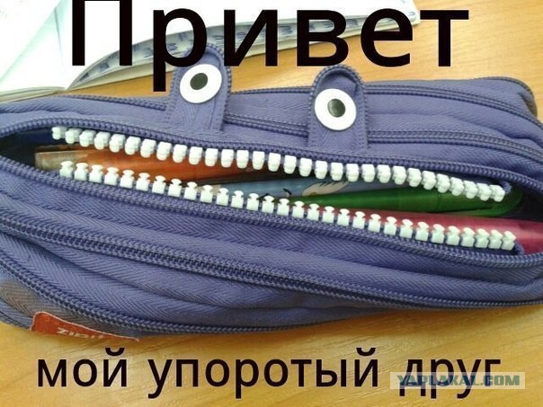 Привет, сосед!