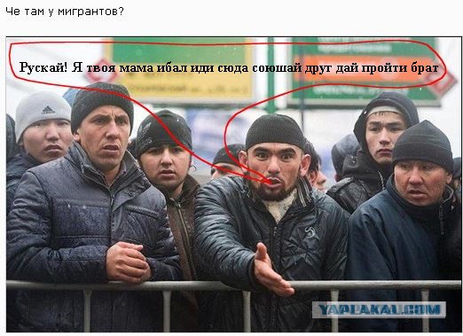 Курбан-Байрам: "Там просто не проехать!"