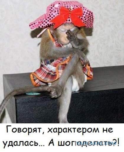 Картинки на пятницу