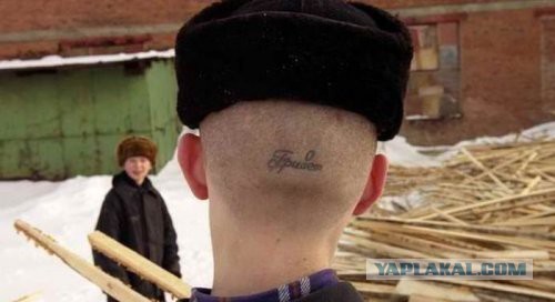 Приколы из сети