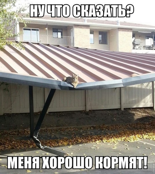 Картинки на пятницу