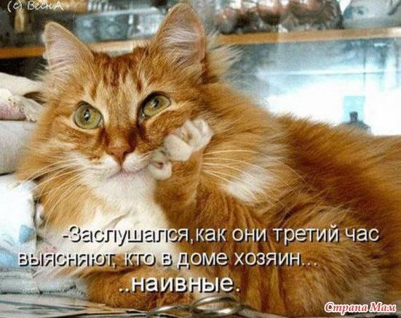 Картинки и демотиваторы