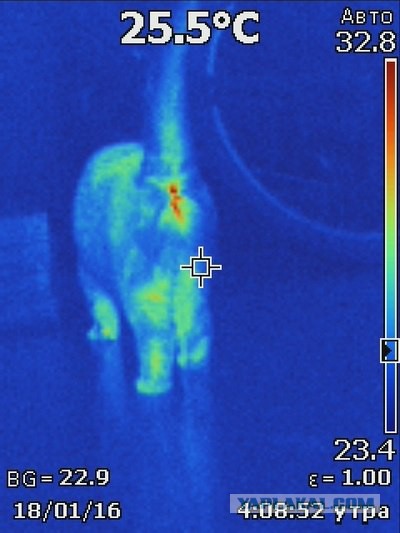 Когда взял попробовать тепловизор