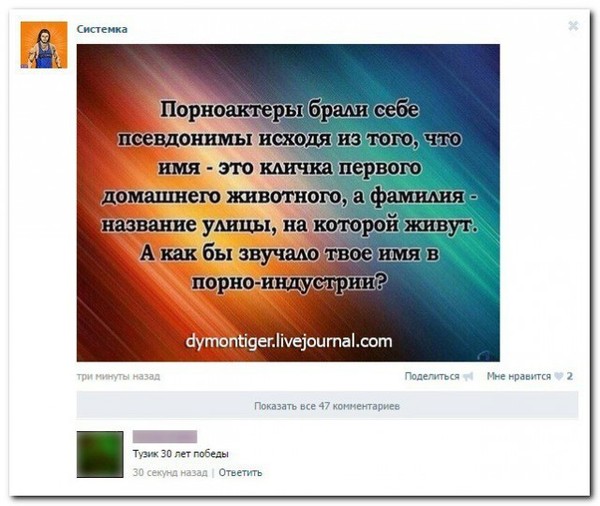 Ужасы и приколы из соцсетей 18+