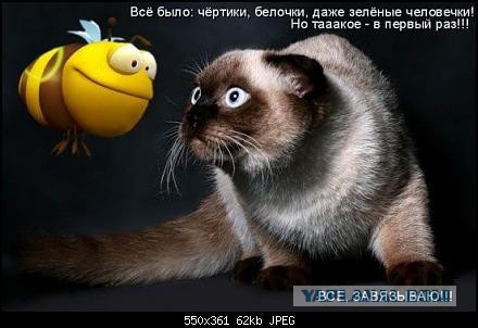 Демотиваторы на пятницу!