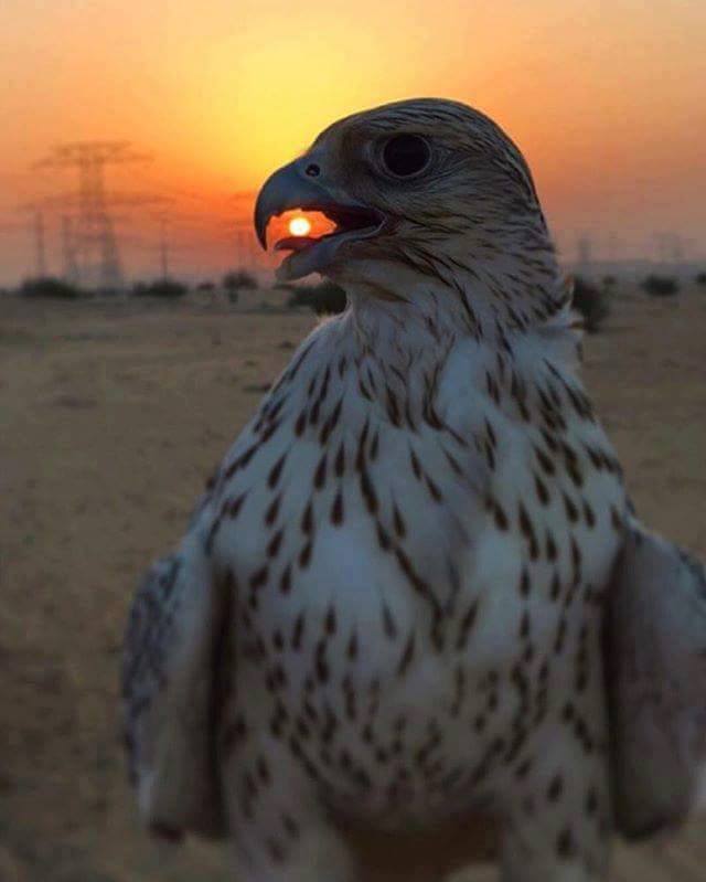 Подборка интересных и веселых картинок