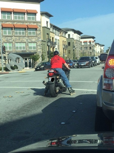 Подборка интересных и веселых фото