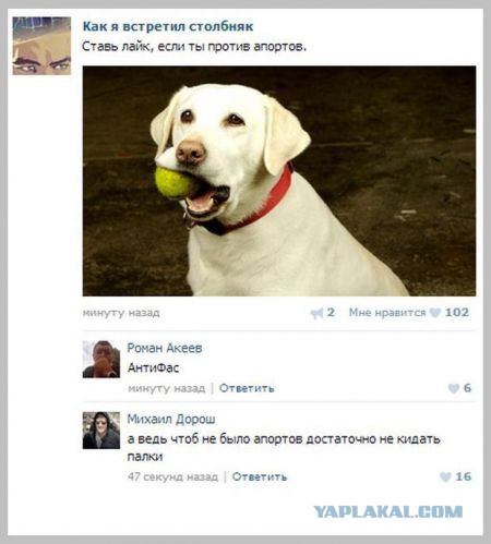 Смешные комментарии 01.05.2016