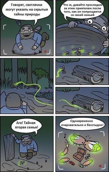 Юмор не для всех