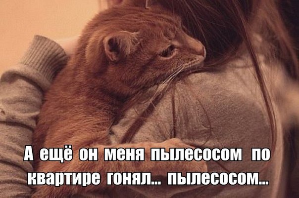 Прикольные животные