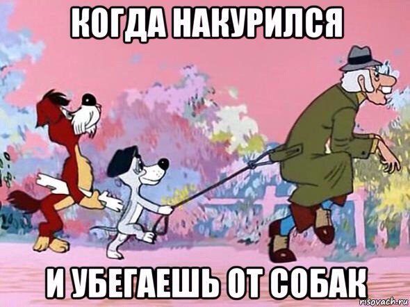 О братьях наших меньших