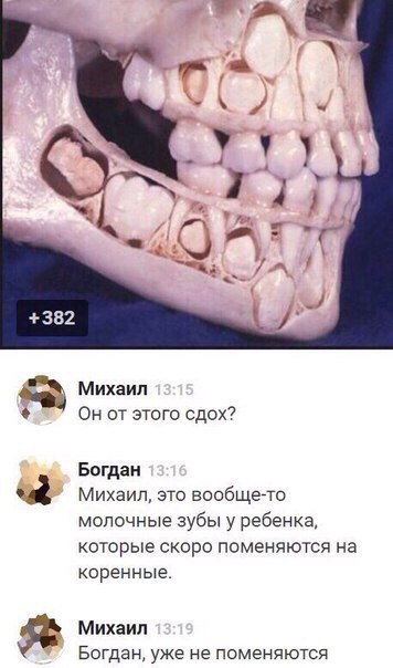 Ужасы и приколы из соцсетей 18+