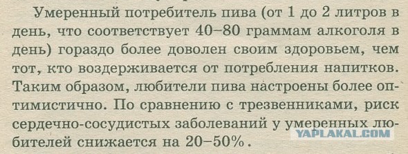 Почему нужно пить пиво: ученые признали его самым полезным в мире напитком