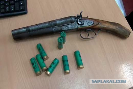Под Тулой всадники на лошадях напали на водителя и его жену