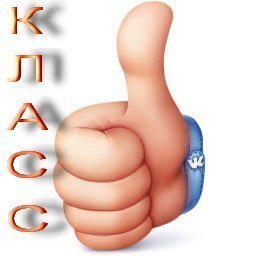 Муж залил машину жены бетоном