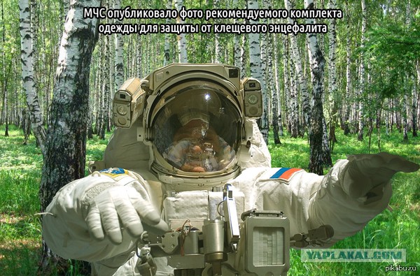 10 мифов о клещах в Подмосковье
