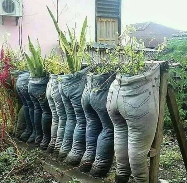 Картинки из сети