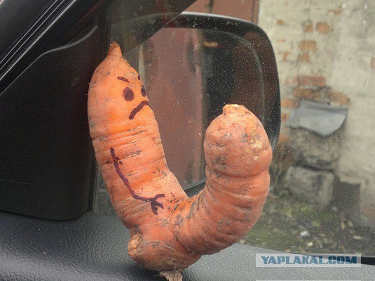 Пошлости пост