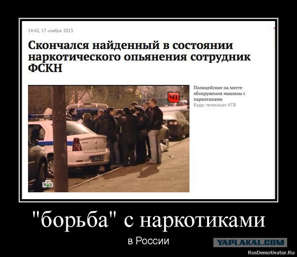 Капитан полиции Дрозд!