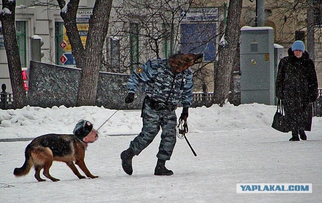 Сопротивление сотруднику полиции