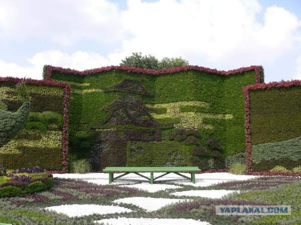 Статуи из кустарников в одном из парков в Китае