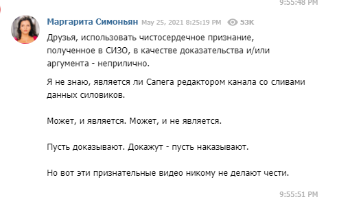 Россиянка София Сапега призналась, что возглавляет Telegram-канал «Черная книга Беларуси»