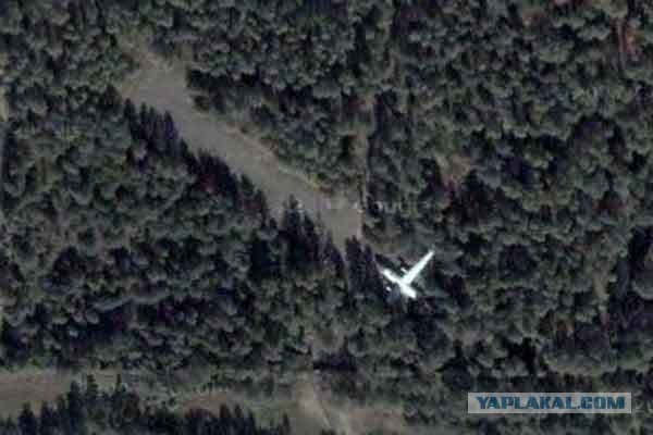 Самолет в лесу (11 фото)