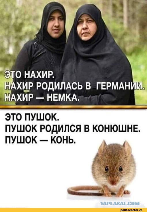 Первое официальное выступление нового канцлера Германии Олафа Шольца