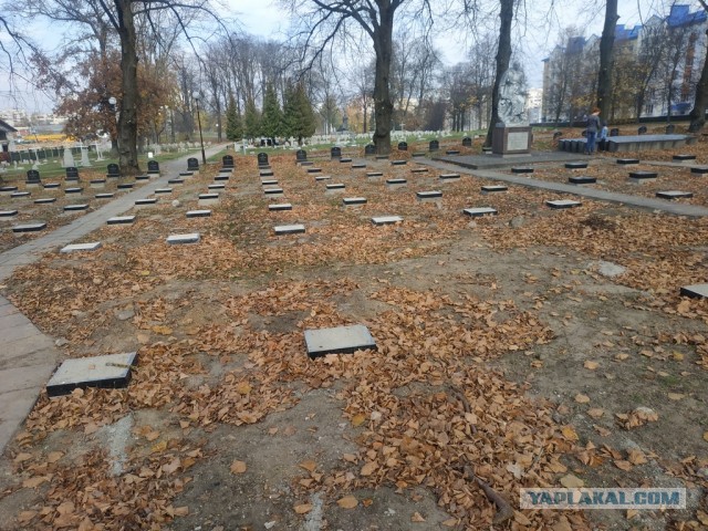 ЯП кругосветка. Этот проект завершился!