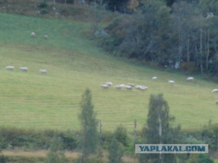 Деревня в которой я живу