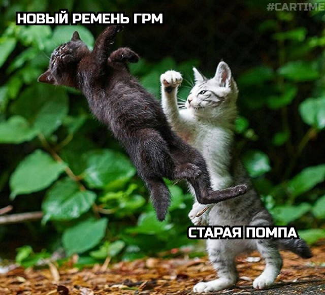 Картинки и мемы для настроения - 015