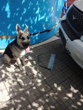 Подборка интересных и прикольных фото из Сети 01.04.23