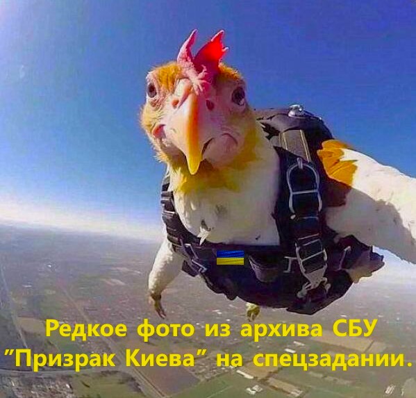 С захватом приграничной с сектором Газа военной базы много вопросов