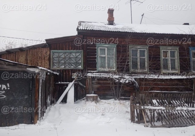 Житель Петербурга срубил ёлочку на улице и унес домой