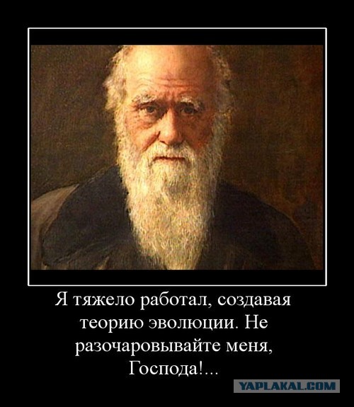 Ублюдок на скутере.