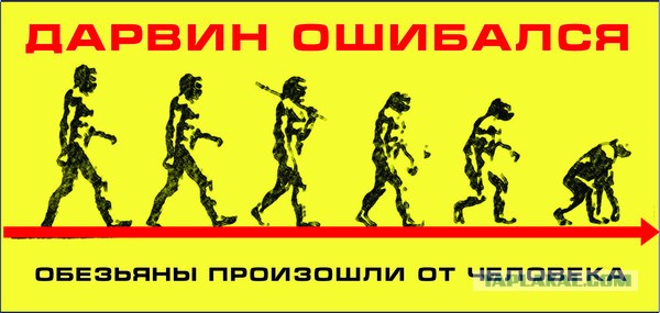 Веселые картинки в понедельник (30.09)