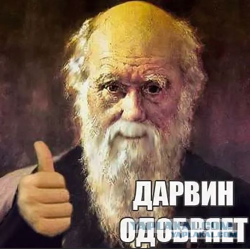 Смотри, братан