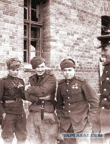 «Надо, Федя, надо!»