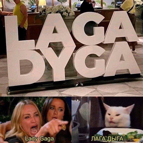 Знаменитый кот