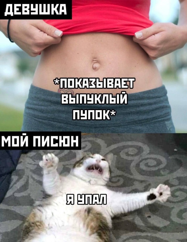 К котовторнику: подборка картинок-баянов с котиками и про котиков. Выпуск 20.