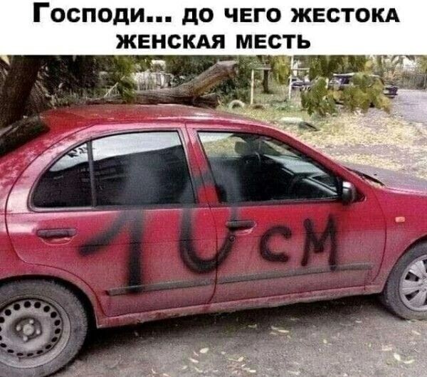 Пятничные картинки