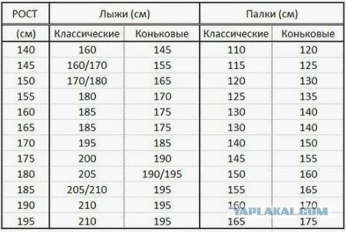 Лыжница Непряева надела чужие лыжи во время гонки на 50 км